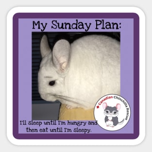 Chinchilla inspirational thoughts Sticker